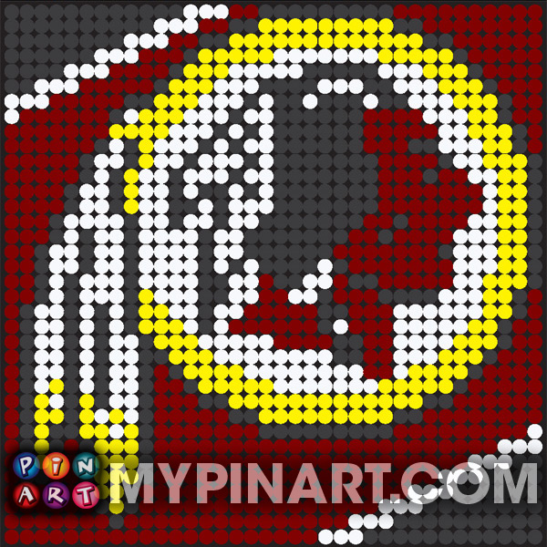 Washington Redskins pushpin art