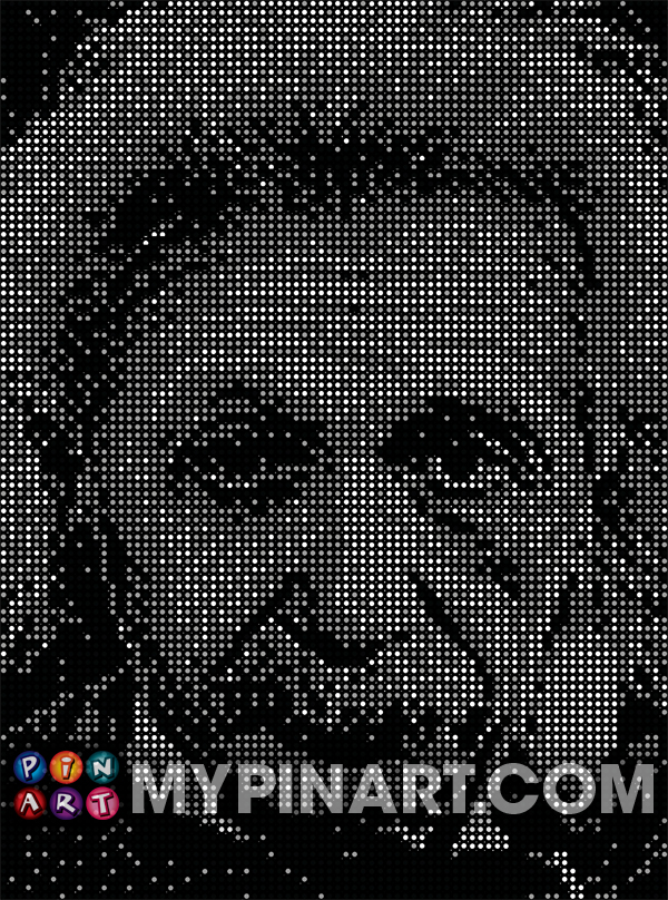 Pushpin Art Albert Einstein